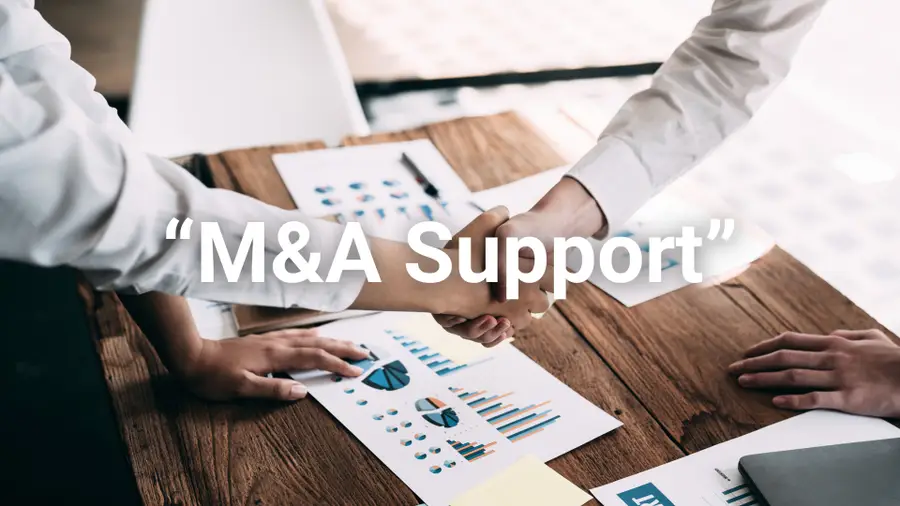 M&A Support Consultancy