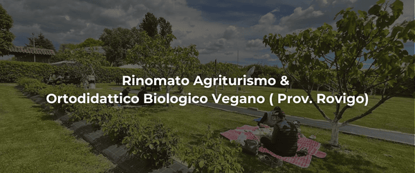 header ortodidattico