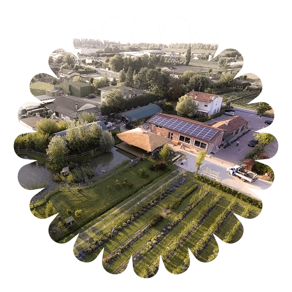 il-profumo-della-freschezza-ortodidattico-img-3