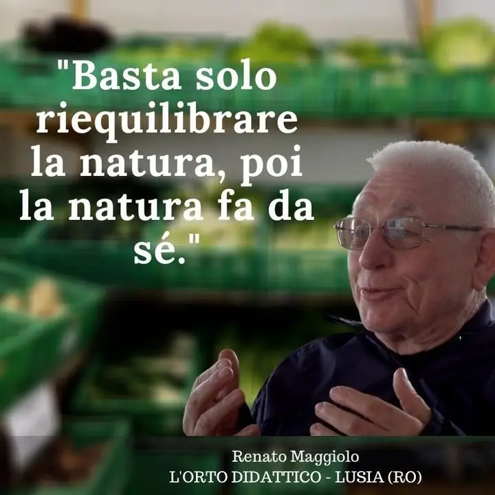 orto idattico